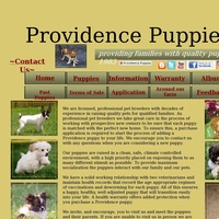 Image of website Providence Puppies